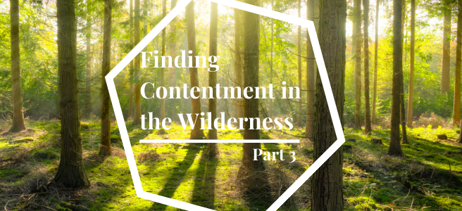 Finding Contentment in the Wilderness – Part&nbsp;3